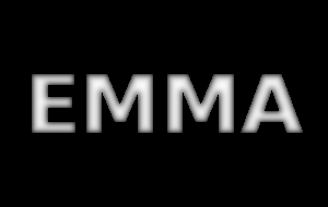 Carte de profondeur, solution du stéréogramme Emma