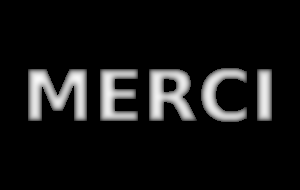 Carte de profondeur, solution du stéréogramme Merci
