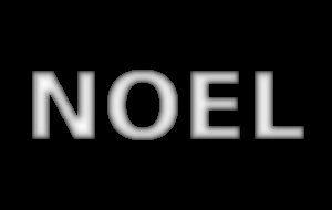 Carte de profondeur, solution du stéréogramme Noel